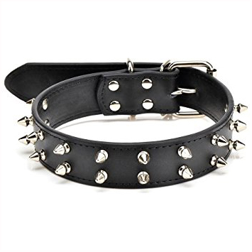 Dog Collar