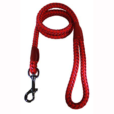 Dog Lead