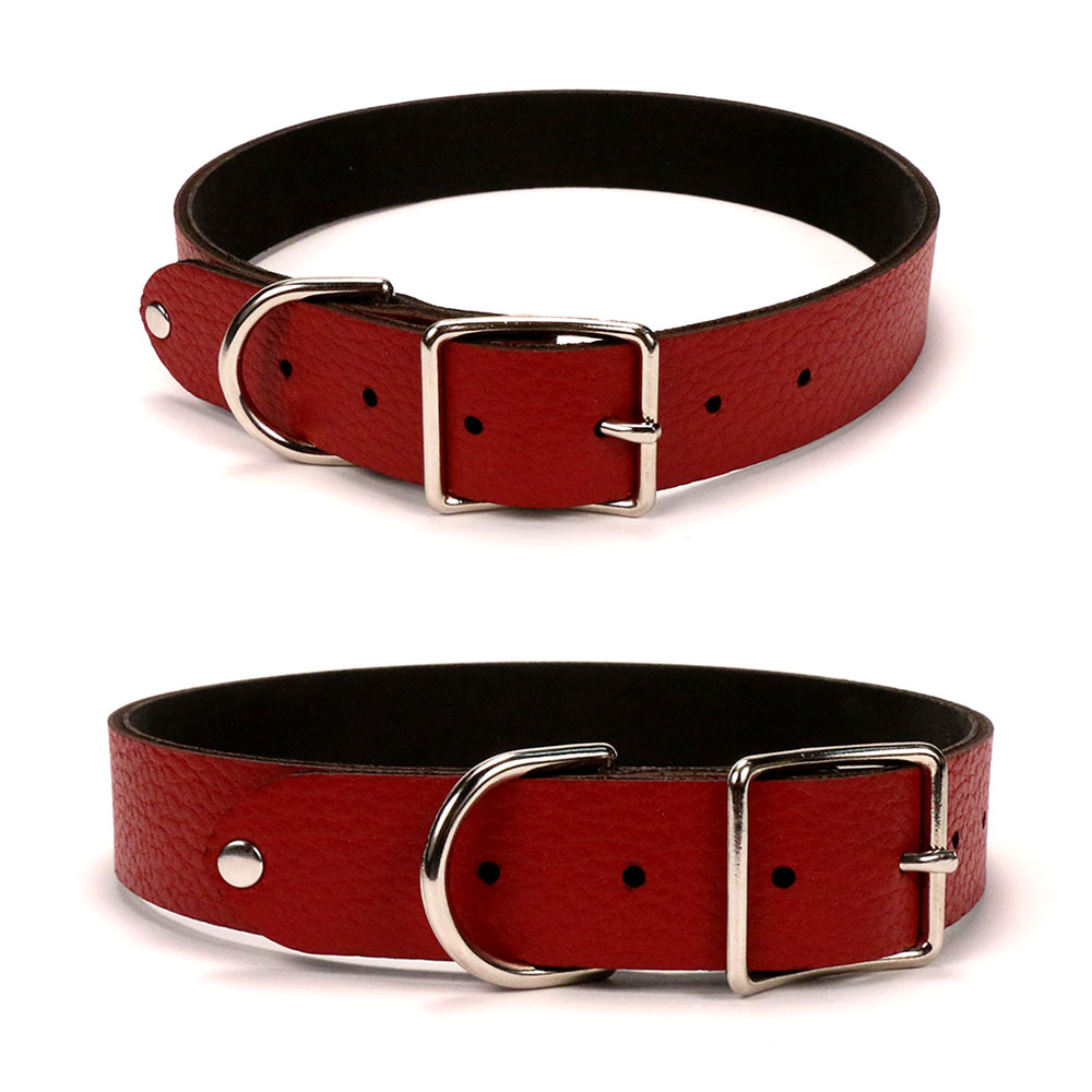 Dog Collar