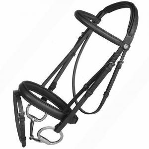 Bridle