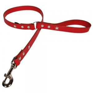 Dog Lead