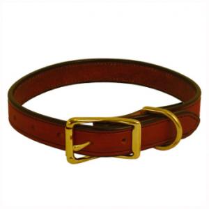 Dog Collar