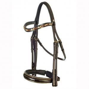 Bridle