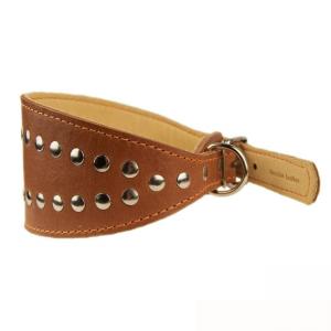 Dog Collar