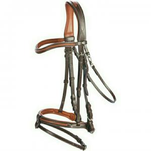 Bridle