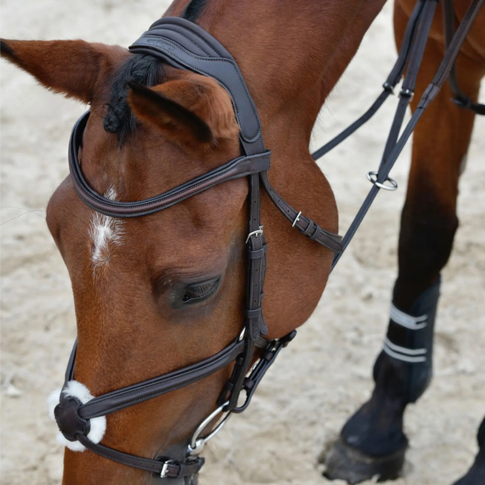 Comfort bridle